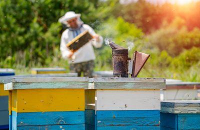 Déclarez vos ruches