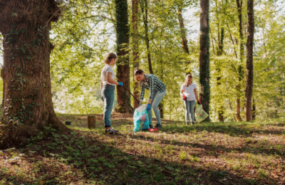 Une forêt domaniale sans déchets