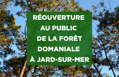 Réouverture de la forêt
